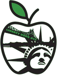 Liberty Buds icon