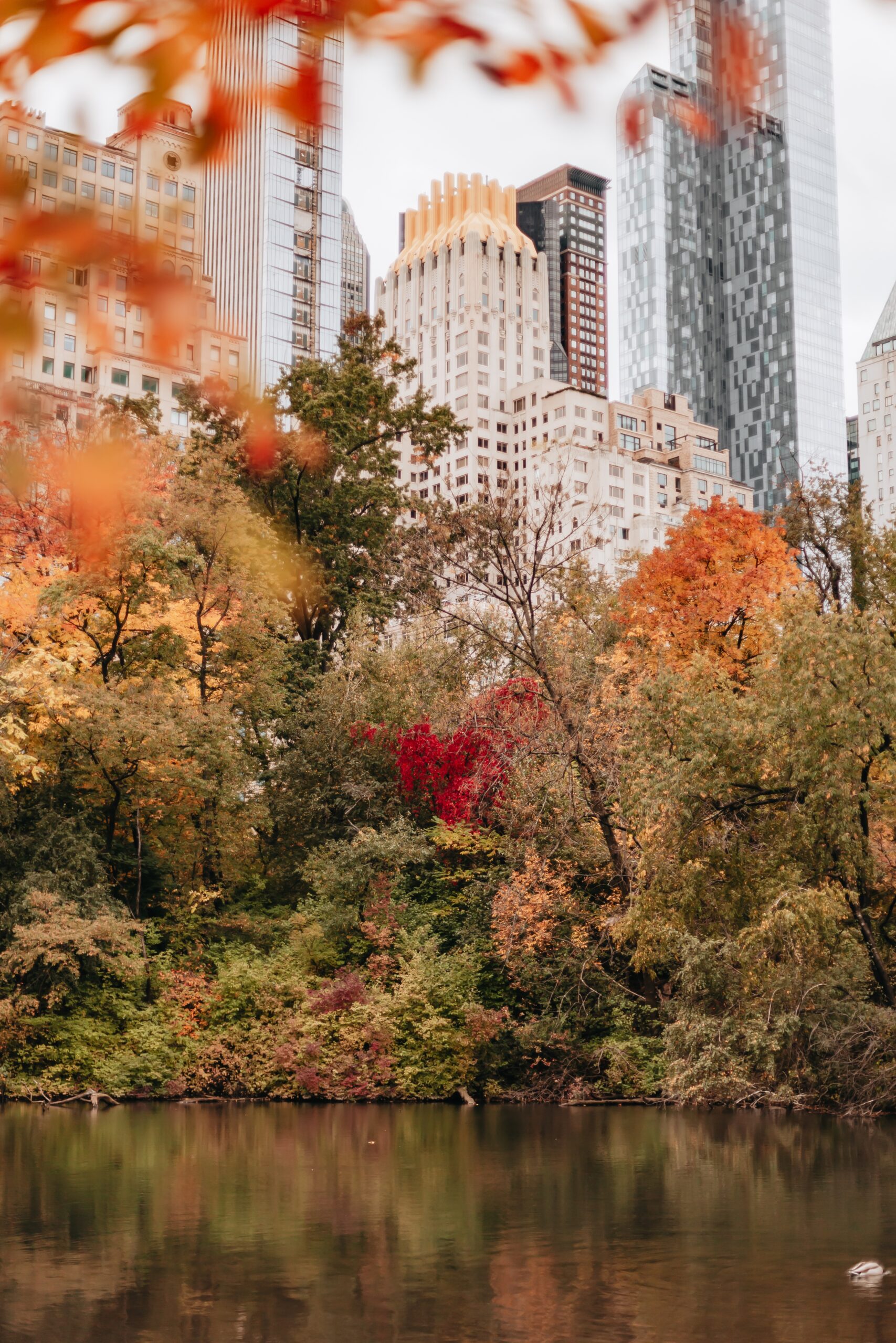 Central Park