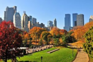 Central Park during fall