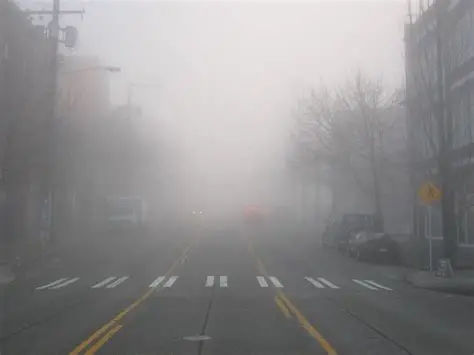 Fog