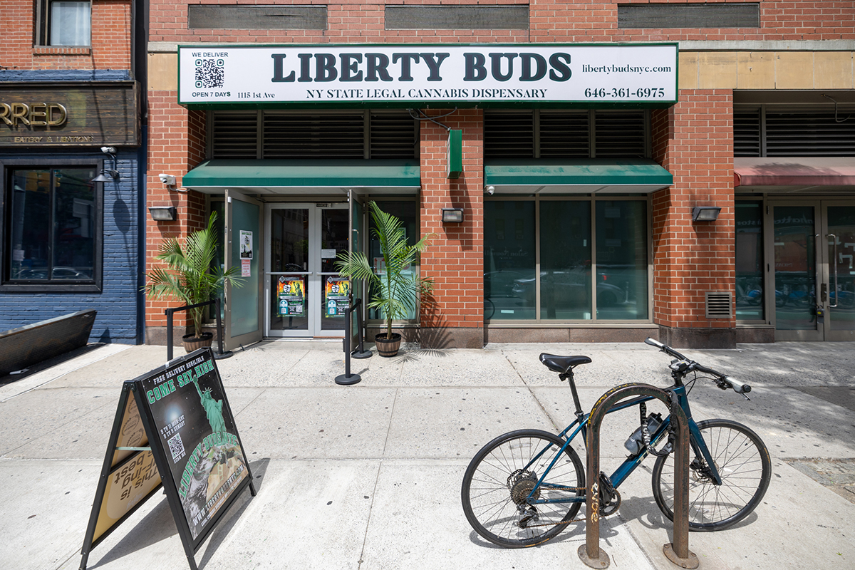 About - Liberty Buds