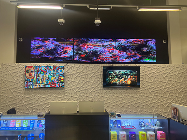 Best Cannabis Store Near Me in Douglaston NY