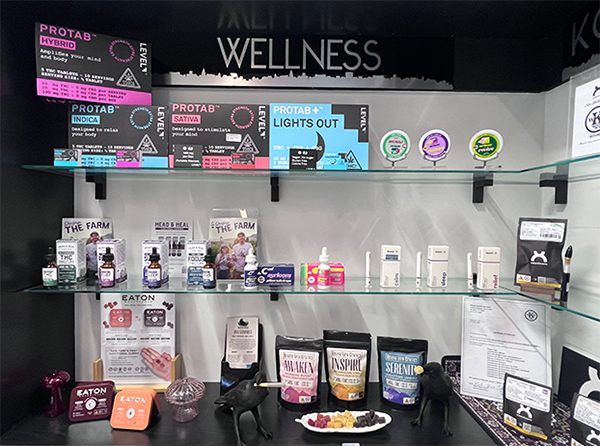 Best Cannabis Dispensary Near Me in New York