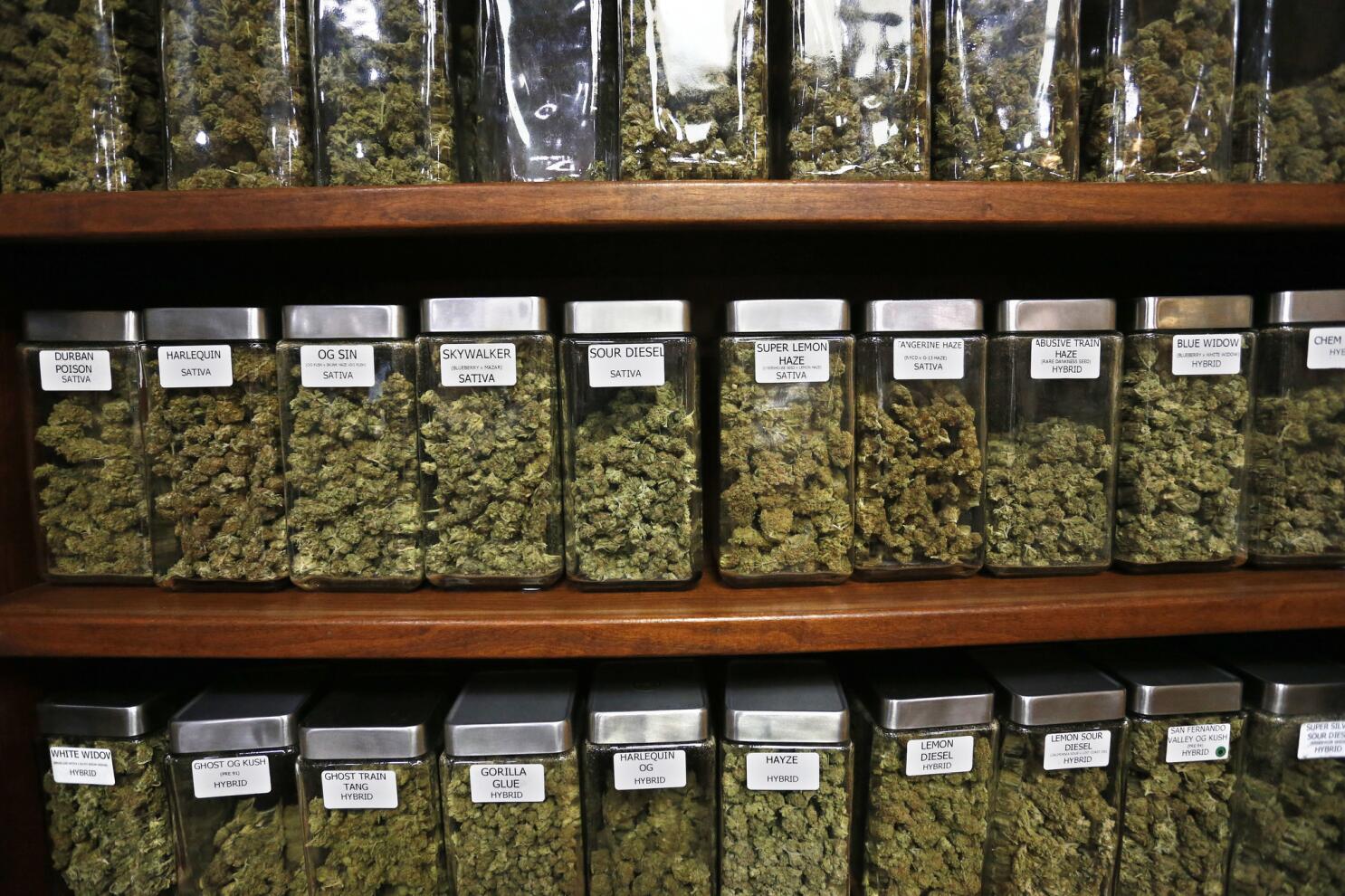 Best Weed Dispensary NYC Near Me