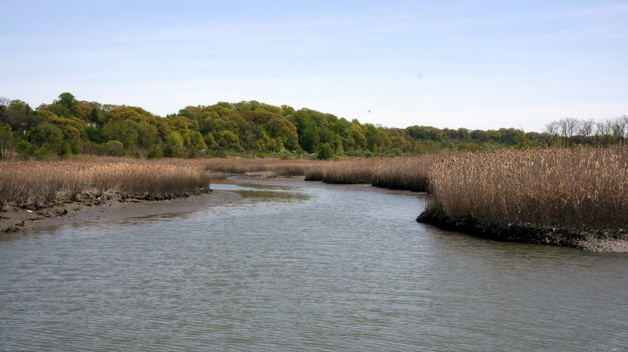Oakland Lake, just north of Oakland Gardens near 46th Avenue, in the Alley Pond Park area